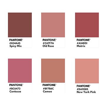 Póster for Sale con la obra «Paleta rosa nude pantone muestra de color