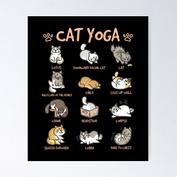 Cat Yoga, Cute Cat on Yoga Mat, Fun Cat in Yoga Position. Poster