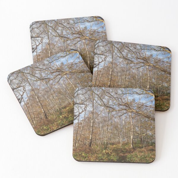 Item preview, Birches Trees, Derbyshire designed and sold by GeraldineCurtis.