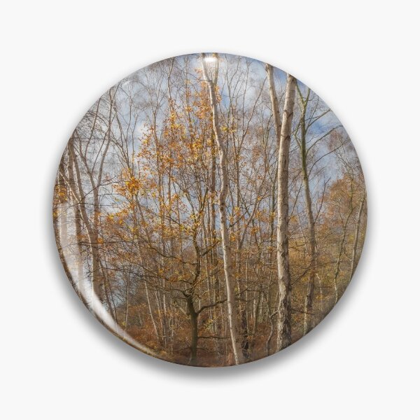Item preview, Silver Birch Trees, Derbyshire designed and sold by GeraldineCurtis.