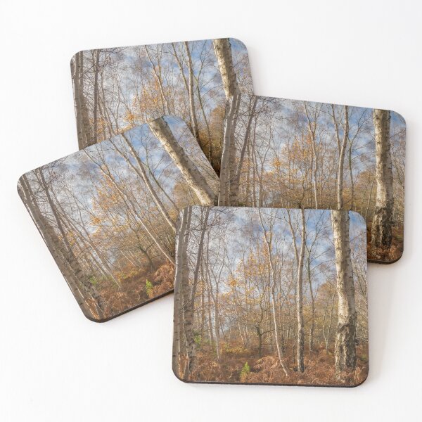 Item preview, Silver Birch Trees, Derbyshire designed and sold by GeraldineCurtis.