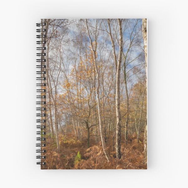Item preview, Silver Birch Trees, Derbyshire designed and sold by GeraldineCurtis.