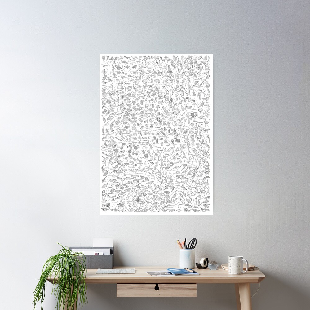 Tree of Life - Animal Evolution - Black & White (Annotated) Poster