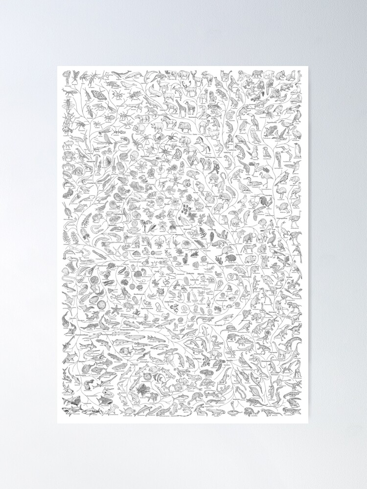Alternate view of Tree of Life - Animal Evolution - Black & White (Annotated) Poster