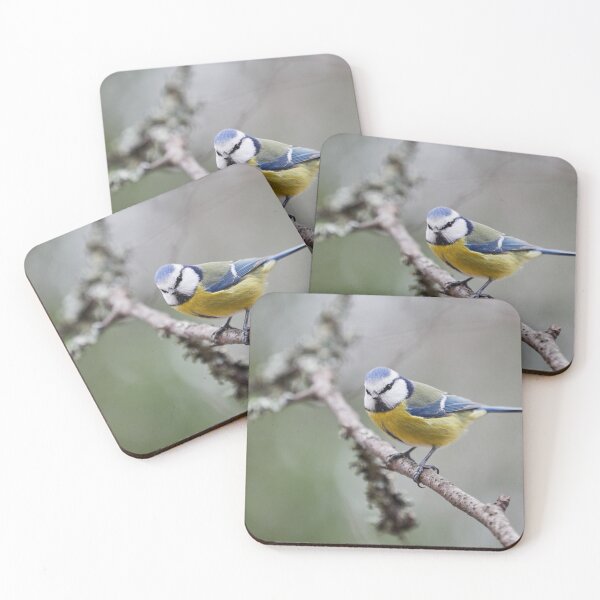 Item preview, Eurasian blue tit posing designed and sold by Jouko Lehto Photography.