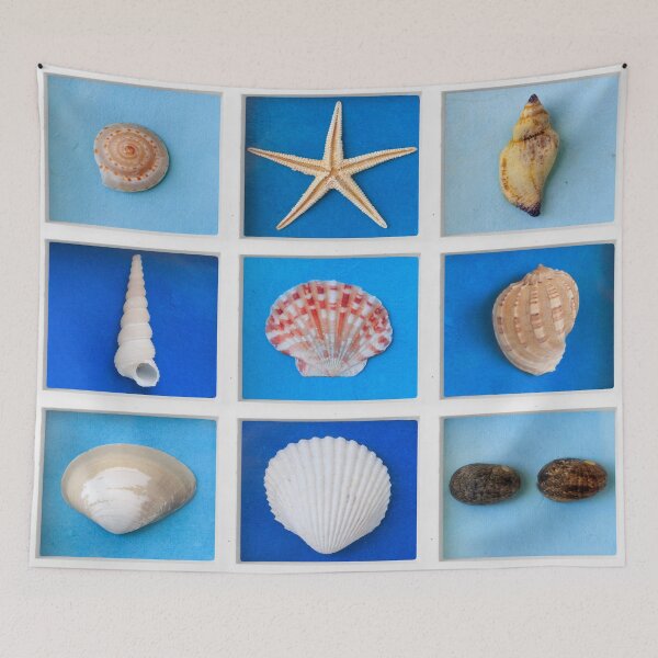 Item preview, Sea Shells designed and sold by Happy-PrintZ.