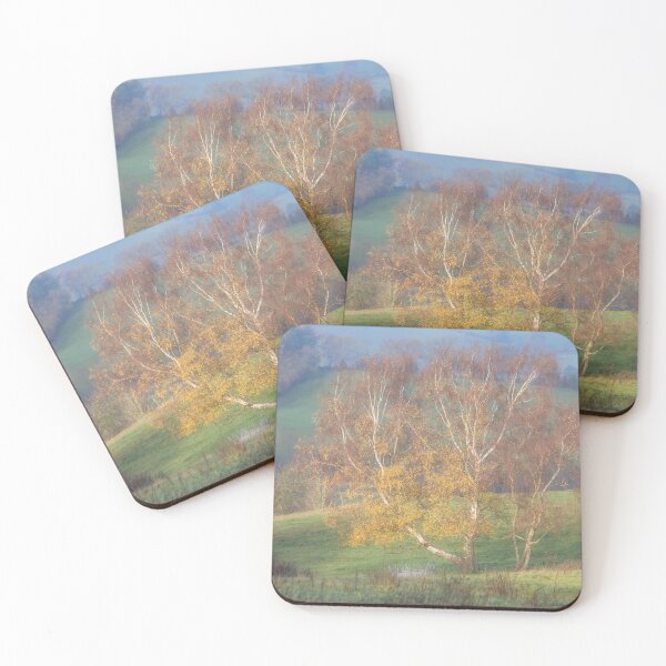 Item preview, Old Silver Birch Tree, Near Coxbench, Derbyshire designed and sold by GeraldineCurtis.