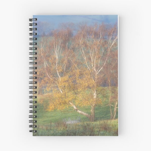 Item preview, Old Silver Birch Tree, Near Coxbench, Derbyshire designed and sold by GeraldineCurtis.