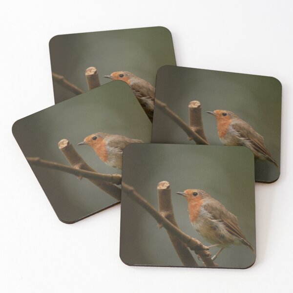Item preview, Ruffed Robin designed and sold by miradorpictures.