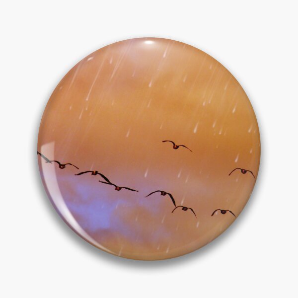 Artikelvorschau, Vögel ist der Regen, Vögel, Vögel, die im Regen fliegen, entworfen und verkauft von PicsByMi.
