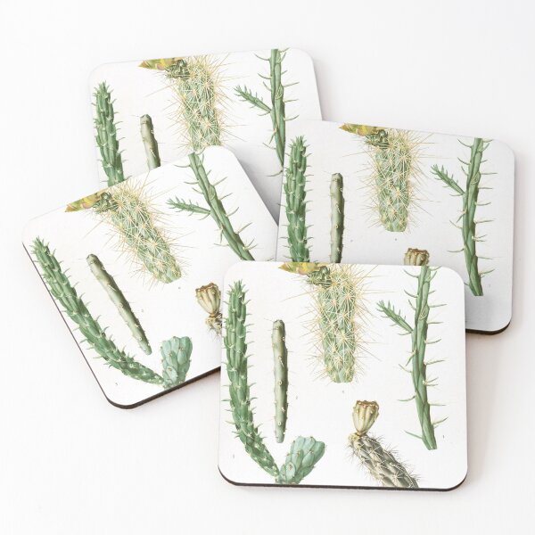 Artikelvorschau, Vintage Opuntia Varities Botanical Print von den Cactaceae entworfen und verkauft von Douglas E. Welch Design and Photography.