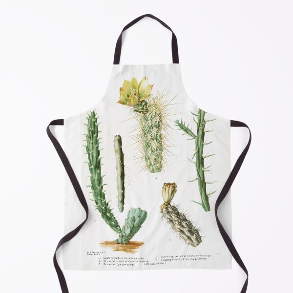 Item preview, Vintage Opuntia Varities Botanical Print from The Cactaceae designed and sold by Douglas E. Welch Design and Photography.