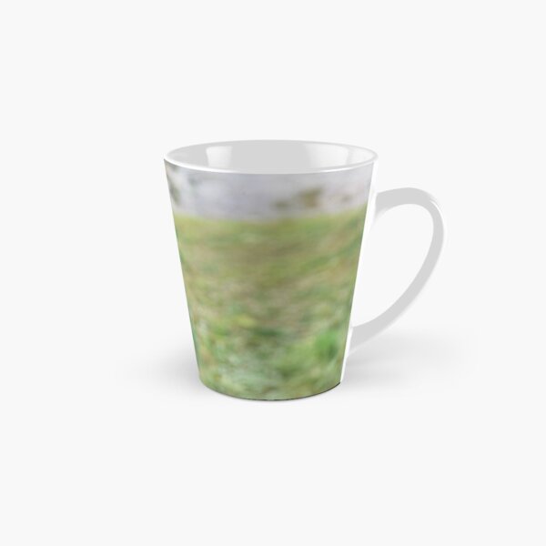 What about flying Mug long