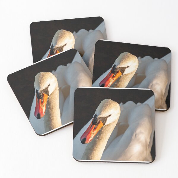 Item preview, Swan in sunlight designed and sold by kwn1804.