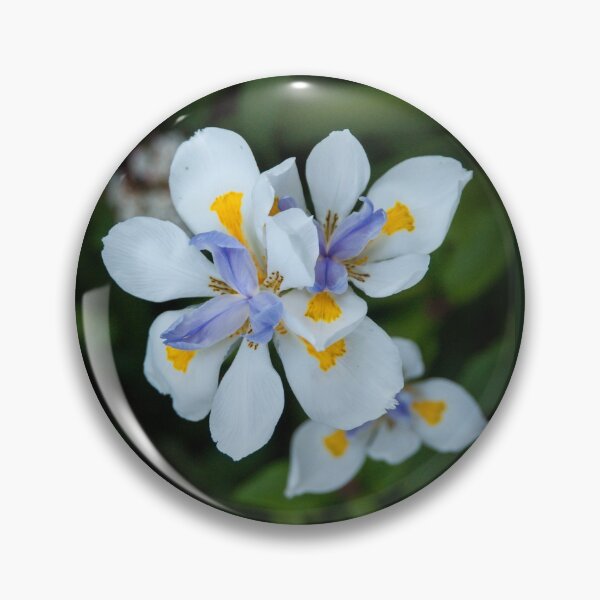 Item preview, Fairy Iris designed and sold by LizFingland.