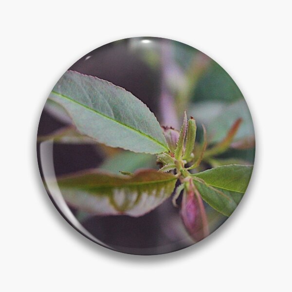 Item preview, Plant designed and sold by sophiecrangle.