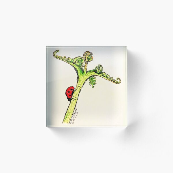 Ladybird Perspective Acrylic Block
