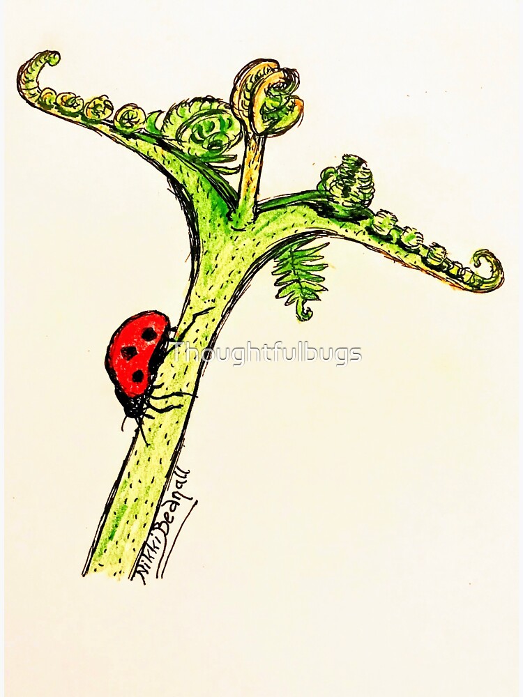 Ladybird Perspective by Thoughtfulbugs