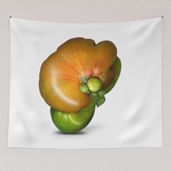 Item preview, Two-headed tomato attempting self-containment. designed and sold by Marc DEFORTESCU.