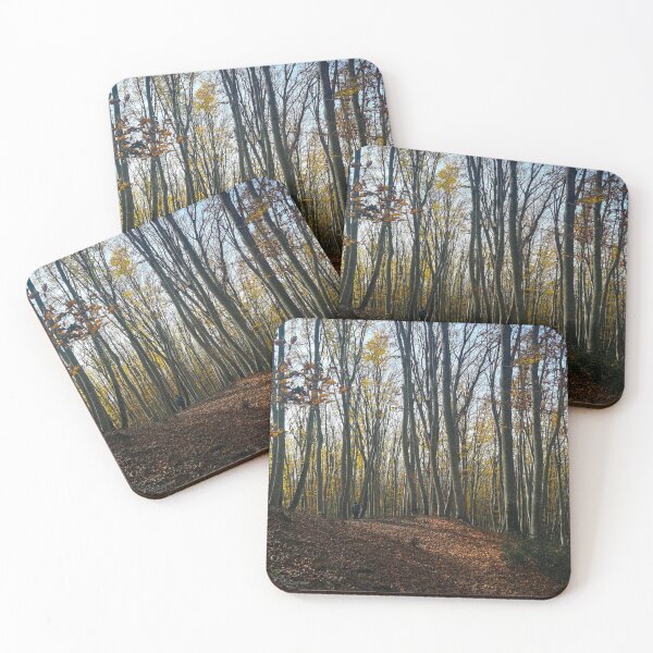 Item preview, Beechwood autumn tall trees, Vico lake Italy designed and sold by Onyria Art.