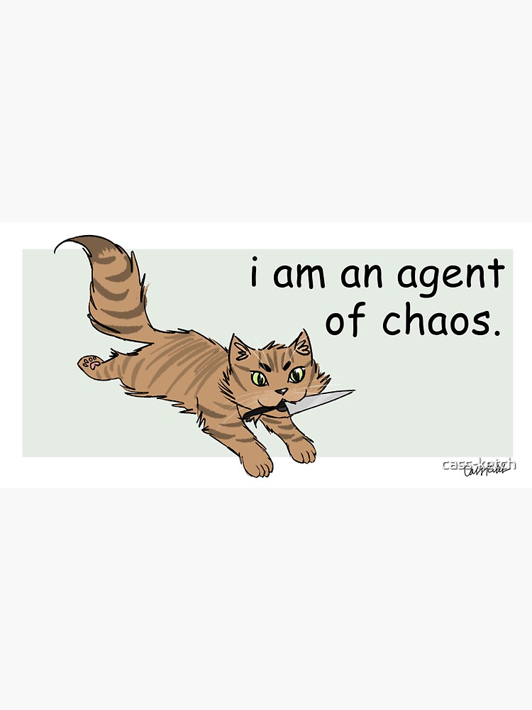 chaos cat  Cats, Memes, Cute