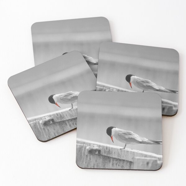 Item preview, My tern on the rail  designed and sold by miradorpictures.