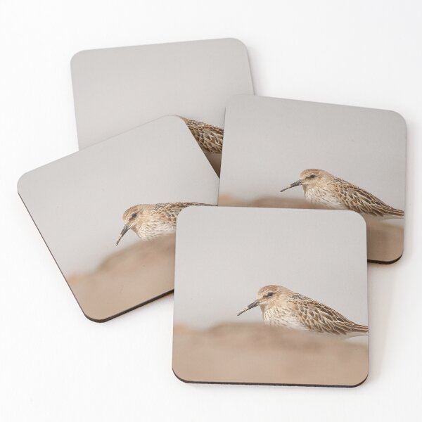 Item preview, dipping the bill in the sand  designed and sold by miradorpictures.
