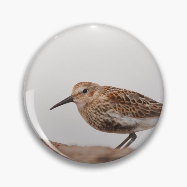Item preview, Sea the Sanderling  designed and sold by miradorpictures.