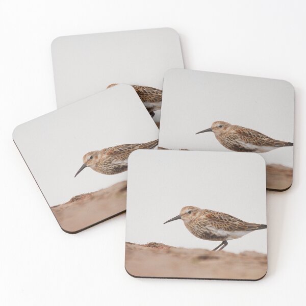 Item preview, Sea the Sanderling  designed and sold by miradorpictures.