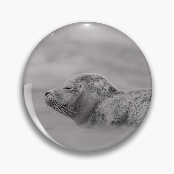 Item preview, Sunbathing seal designed and sold by miradorpictures.