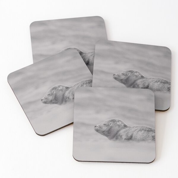 Item preview, Sunbathing seal designed and sold by miradorpictures.