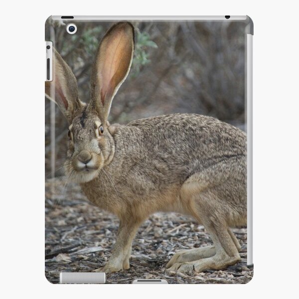 Ole Big Ears iPad Snap Case