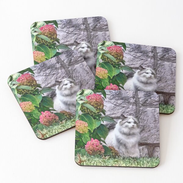 Item preview, Ragdoll Cat By Hydrangea designed and sold by Susan Savad.