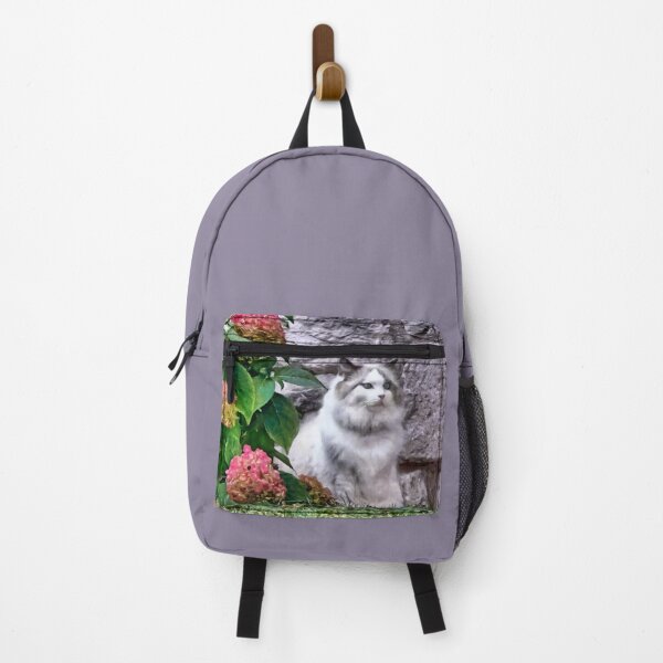 Item preview, Ragdoll Cat By Hydrangea designed and sold by Susan Savad.