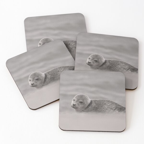 Item preview, Sleepy seals designed and sold by miradorpictures.