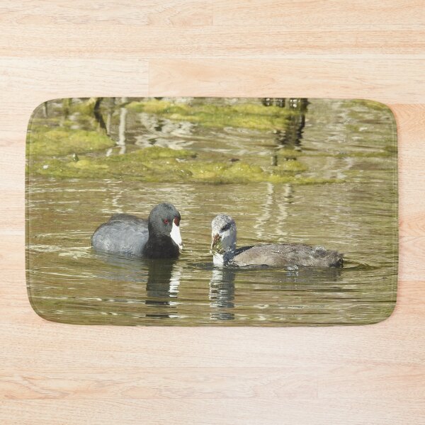 Item preview, American Coots, birds, wildlife, gifts, mama and babe designed and sold by Sandra O'Toole.