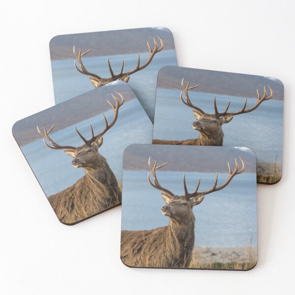 Item preview, Royal Red Deer Stag in Scotland designed and sold by derekbeattie.