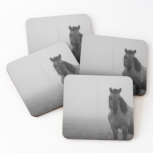 Item preview, Konik pony designed and sold by Imogencandler.