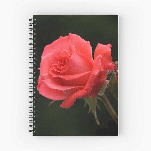 Item preview, Rosa America designed and sold by bubblenjb.