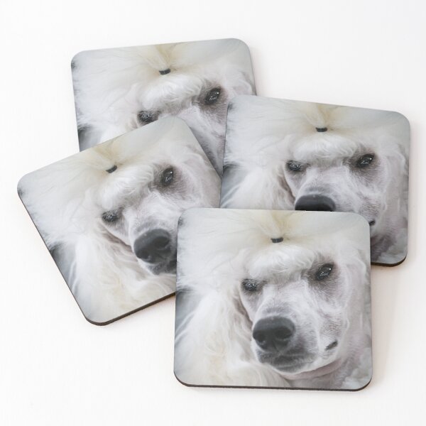 Item preview, Cream Poodle Ready for the Show Ring designed and sold by Mimi Foley.