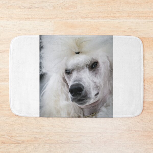 Item preview, Cream Poodle Ready for the Show Ring designed and sold by Mimi Foley.