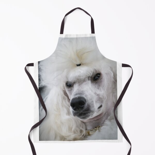 Item preview, Cream Poodle Ready for the Show Ring designed and sold by Mimi Foley.