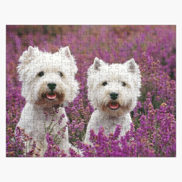 Westie, West Highland Terrier Dogs in heather Jigsaw Puzzle