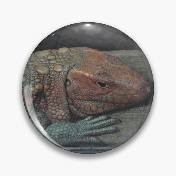 Item preview, Northern Caiman Lizard designed and sold by Savannah Gibbs.