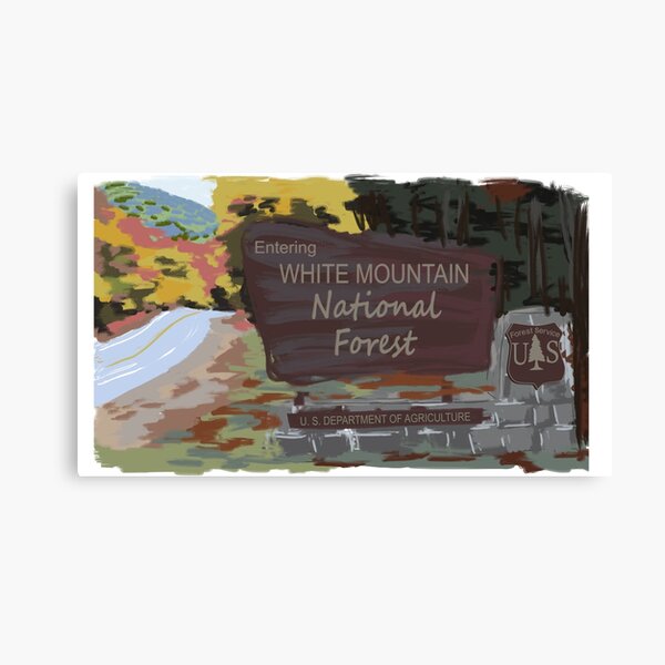 Entering White Mountains Canvas Print