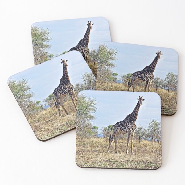 Item preview, Giraffe in the Wild, Kruger national park, South Africa  designed and sold by worldways.