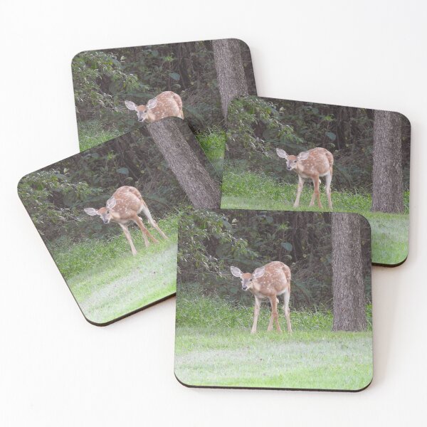 Item preview, Whitetail deer, fawn, nature, wildlife, gifts designed and sold by Sandra O'Toole.