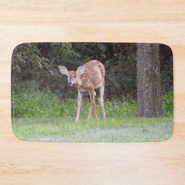 Item preview, Whitetail deer, fawn, nature, wildlife, gifts designed and sold by Sandra O'Toole.