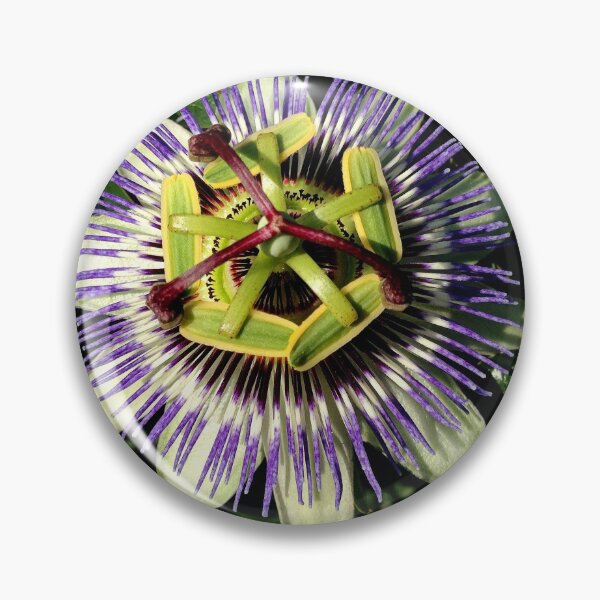 Item preview, Passion Flower designed and sold by Billlee.
