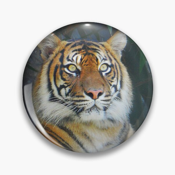 Item preview, Tiger designed and sold by SkatingGirl.